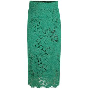 Dolce & Gabbana, Dames, Rokken, Groen, Maat: XS