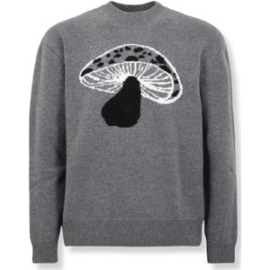 Msgm, Heren, Truien, Grijs, Maat: S Wol,