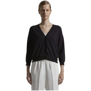 Peserico, Dames, Truien, Blauw, Maat: S