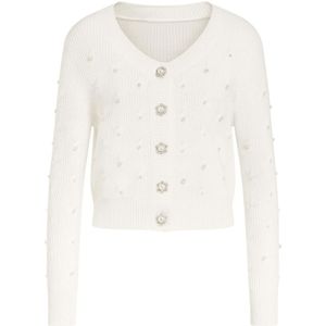 Fracomina, Dames, Truien, Beige, Maat: S Nylon,