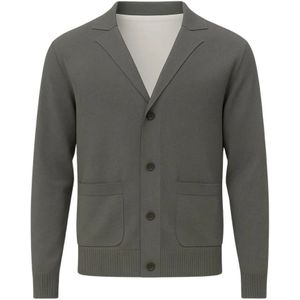 Paolo Pecora, Heren, Truien, Grijs, Maat: S Wol,