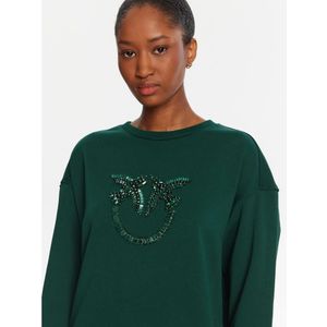 Pinko, Dames, Sweatshirts & Hoodies, Groen, Maat: S Katoen,