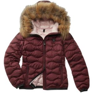 Blauer, Dames, Jassen, Rood, Maat: S Nylon,