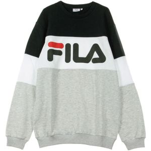 Fila, Heren, Sweatshirts & Hoodies, Veelkleurig, Maat: S
