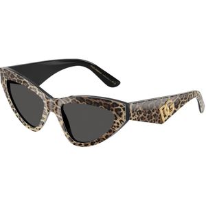 Dolce & Gabbana, Dames, Accessoires, Bruin, Maat: 55 MM Polyamide,