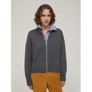 Pennyblack, Dames, Truien, Grijs, Maat: S Wol,