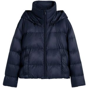 Max Mara, Dames, Jassen, Blauw, Maat: XS Polyamide,