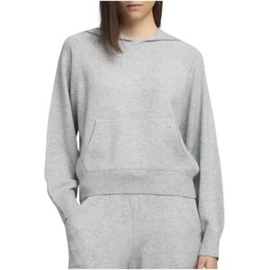 Replay, Dames, Truien, Grijs, Maat: XS Leer,