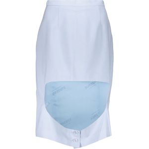 Burberry, Dames, Rokken, Blauw, Maat: 4XS Wol,