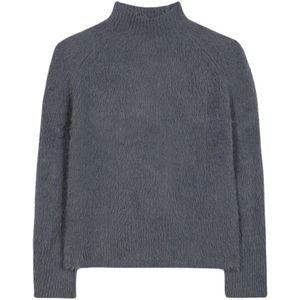 Luisa Cerano, Dames, Truien, Grijs, Maat: S Wol,