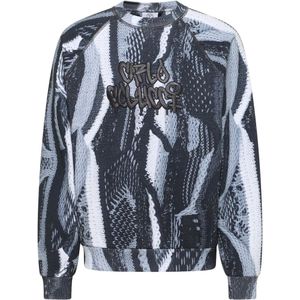 Carlo Colucci, Heren, Sweatshirts & Hoodies, Veelkleurig, Maat: XS Katoen,