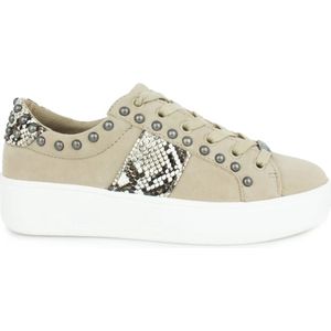 Steve Madden, Dames, Schoenen, Beige, Maat: 37 1/2 EU Leer,