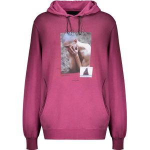 Iso.poetism, Heren, Sweatshirts & Hoodies, Paars, Maat: L Katoen,