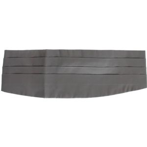 Dolce & Gabbana, Heren, Accessoires, Grijs, Maat: ONE Size Zijde,