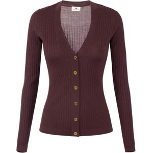 Elisabetta Franchi, Dames, Truien, Paars, Maat: XS Kasjmier,