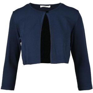 Charlott, Dames, Truien, Blauw, Maat: M Viscose,