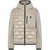 BLAUER ALBERT Beige XXL EU