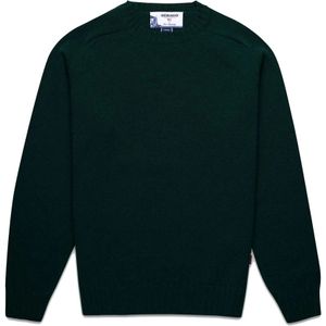 Sebago, Heren, Truien, Groen, Maat: L Wol,