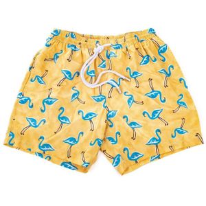 Barba, Heren, Badkleding, Geel, Maat: L