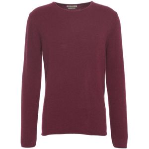 Daniele Fiesoli, Heren, Truien, Rood, Maat: XL Kasjmier,