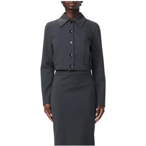 Pinko, Dames, Jassen, Grijs, Maat: S Leer,