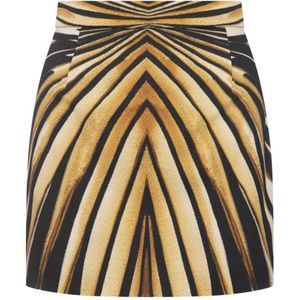 Roberto Cavalli, Dames, Rokken, Beige, Maat: XS Zijde,