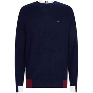 Tommy Hilfiger, Heren, Truien, Blauw, Maat: S Poliester,