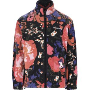 Awake NY, Heren, Jassen, Veelkleurig, Maat: S