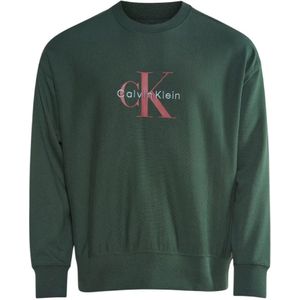 Calvin Klein, Heren, Sweatshirts & Hoodies, Groen, Maat: XS Katoen,