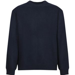 Daniele Fiesoli, Heren, Truien, Blauw, Maat: M Wol,