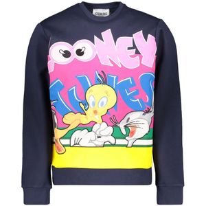 Iceberg, Heren, Sweatshirts & Hoodies, Veelkleurig, Maat: XL Katoen,