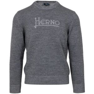 Herno, Heren, Truien, Grijs, Maat: M Wol,