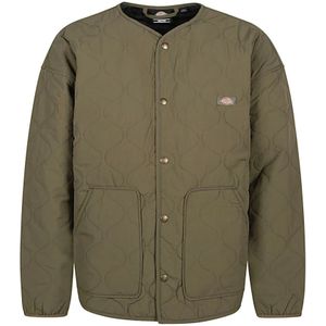 Dickies, Heren, Jassen, Groen, Maat: XL