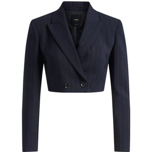 Pinko, Dames, Jassen, Blauw, Maat: XS Wol,