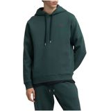 Replay - Verde - Hooded Sweatshirt - Groen - Katoenmix