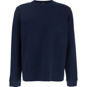 Theory, Heren, Truien, Blauw, Maat: L Katoen,