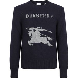 Burberry, Heren, Truien, Blauw, Maat: M Wol,