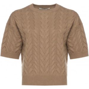 Max Mara, Dames, Truien, Bruin, Maat: L Wol,