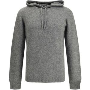 Roberto Collina, Heren, Truien, Grijs, Maat: 2XL Kasjmier,