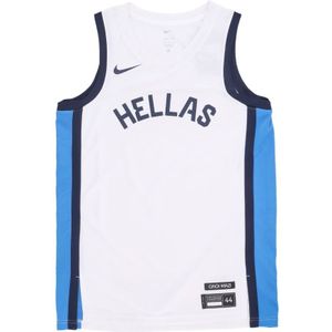 Nike, Heren, Sport, Veelkleurig, Maat: 2XL Poliester,