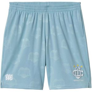 Carhartt Wip, Heren, Korte broeken, Blauw, Maat: S