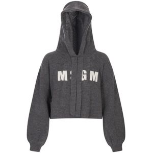 Msgm, Dames, Sweatshirts & Hoodies, Grijs, Maat: M Kasjmier,