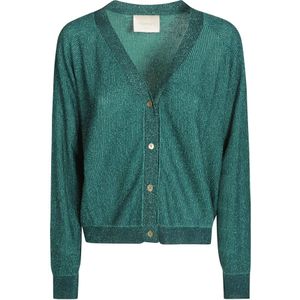 Momoni, Dames, Truien, Groen, Maat: XS