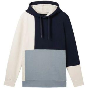 Tom Tailor, Heren, Sweatshirts & Hoodies, Veelkleurig, Maat: L