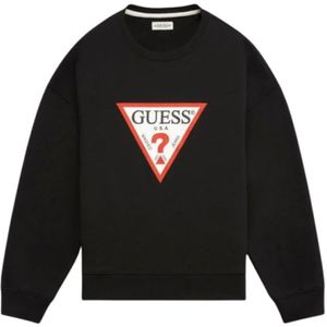 Guess, Heren, Sweatshirts & Hoodies, Zwart, Maat: M Katoen,