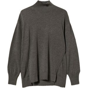 Actitude, Dames, Truien, Grijs, Maat: S Wol,