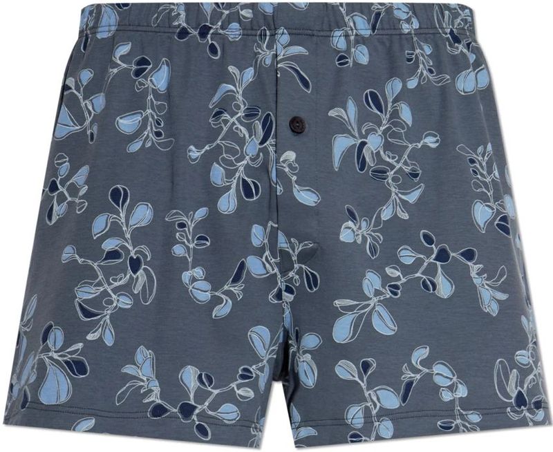 Hanro Boxershorts ' Cotton Sporty '  lichtblauw / donkerblauw