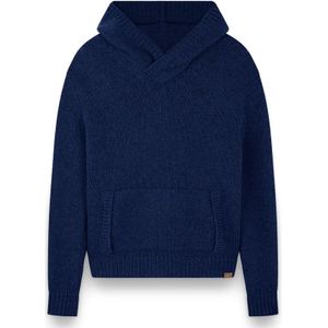 Paul & Shark, Heren, Truien, Blauw, Maat: L Wol,