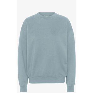 Colorful Standard, Heren, Sweatshirts & Hoodies, Blauw, Maat: M