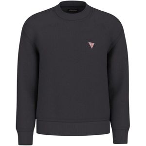Sweater - Katoen - Regular Fit - Mini-Driehoeklogo